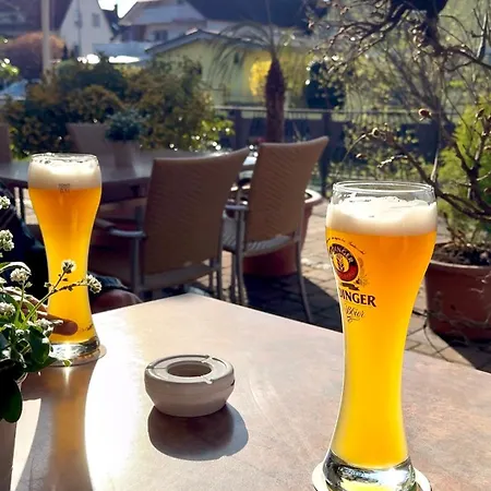Altes Rathaus Am Elz Garten Rust