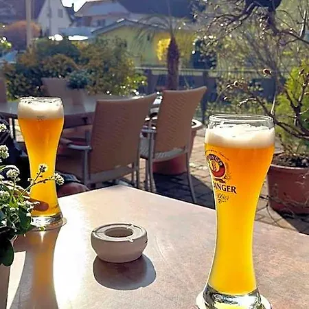 Altes Rathaus Am Elz Garten Rust